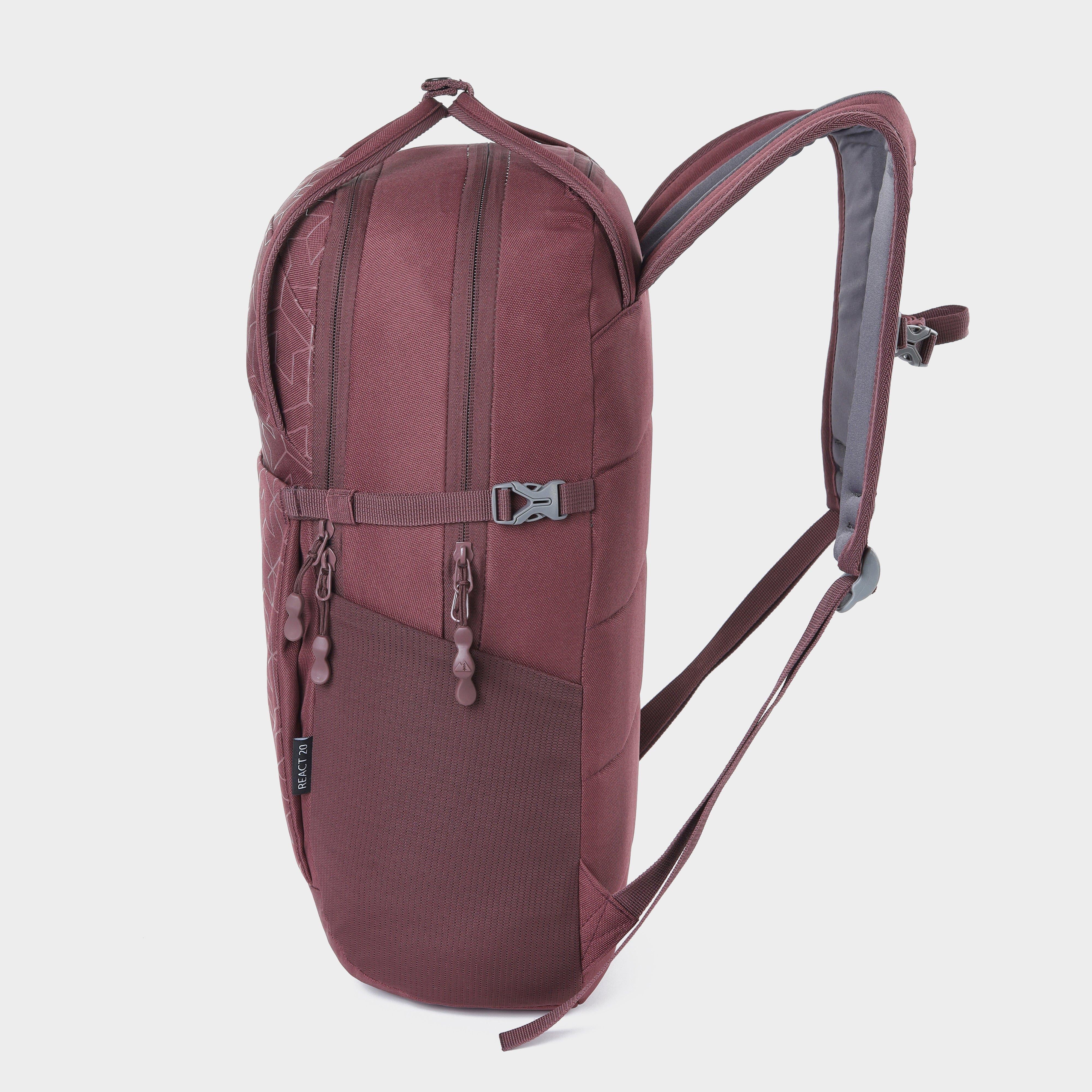 React 20 Daypack